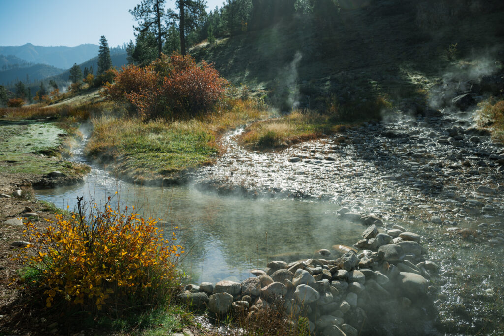 photo of hot spring in the woods